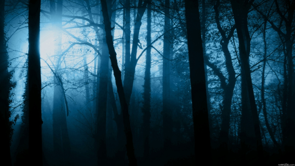 The_Dark_Forest