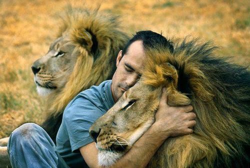 Man Hugs Lion and It's Pretty Much What We Wish We Were all Doing
